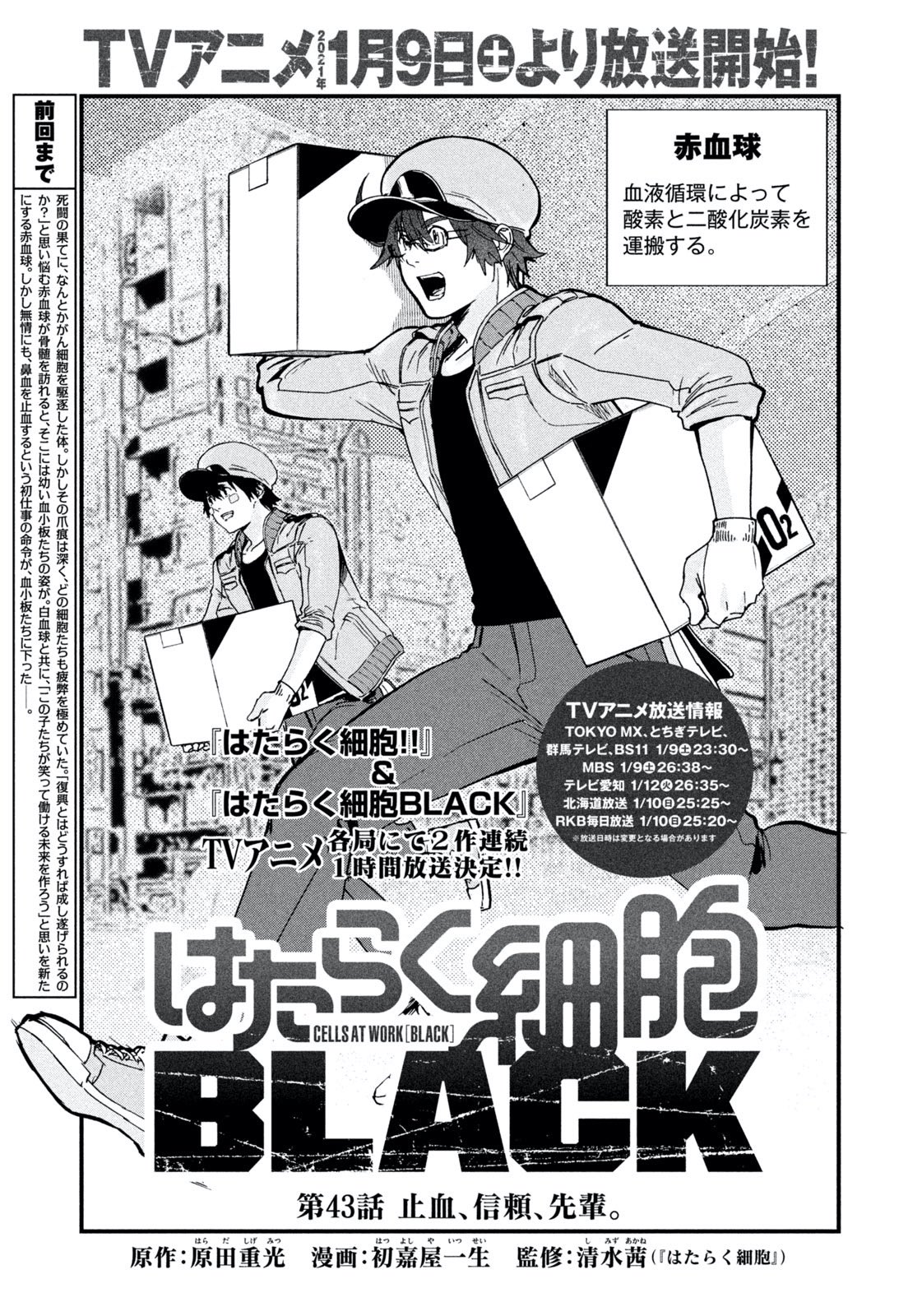 はたらく細胞 38巻セット （はたらく細胞BLACK』【公式】 on X  