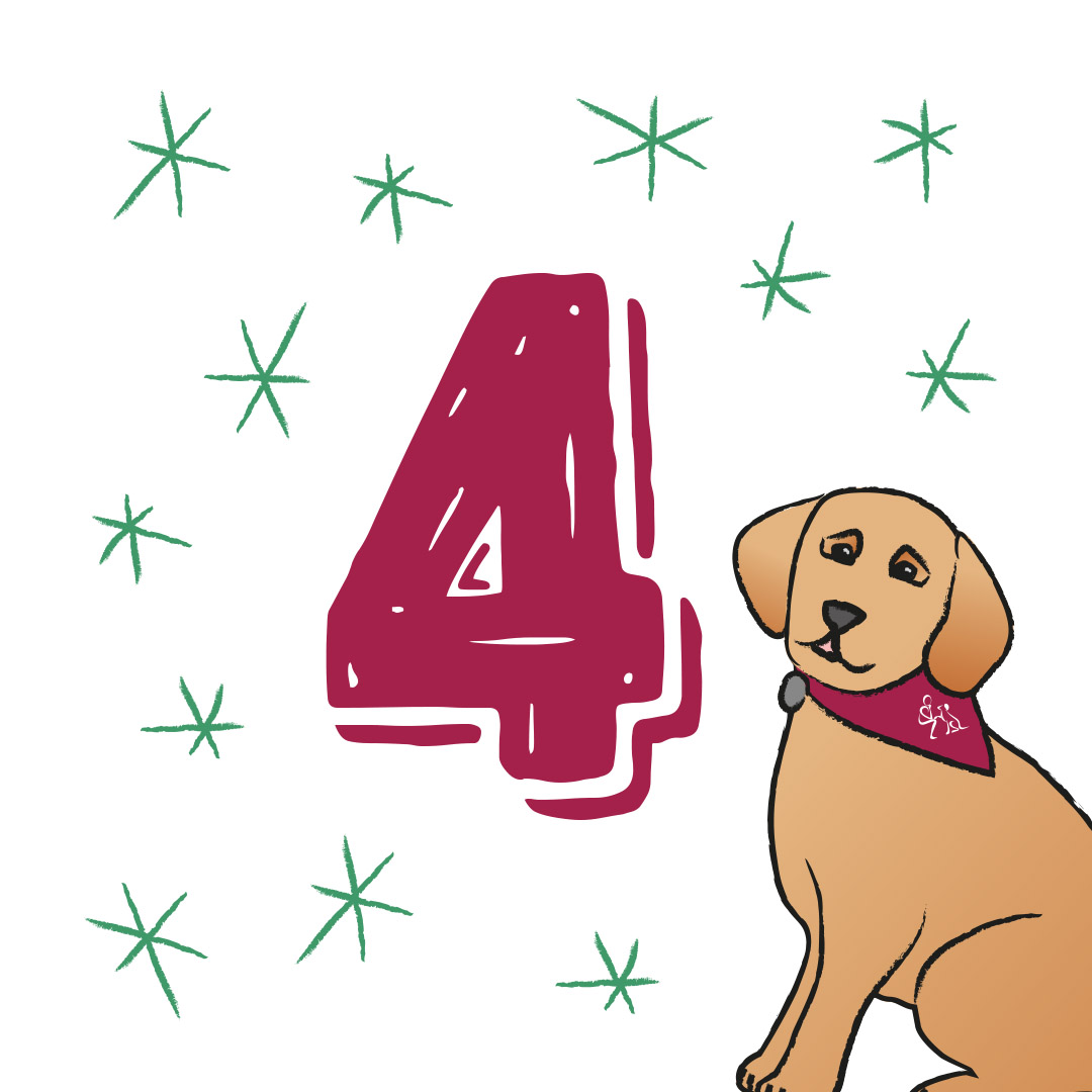 Volunteering H-Dogs tweet media