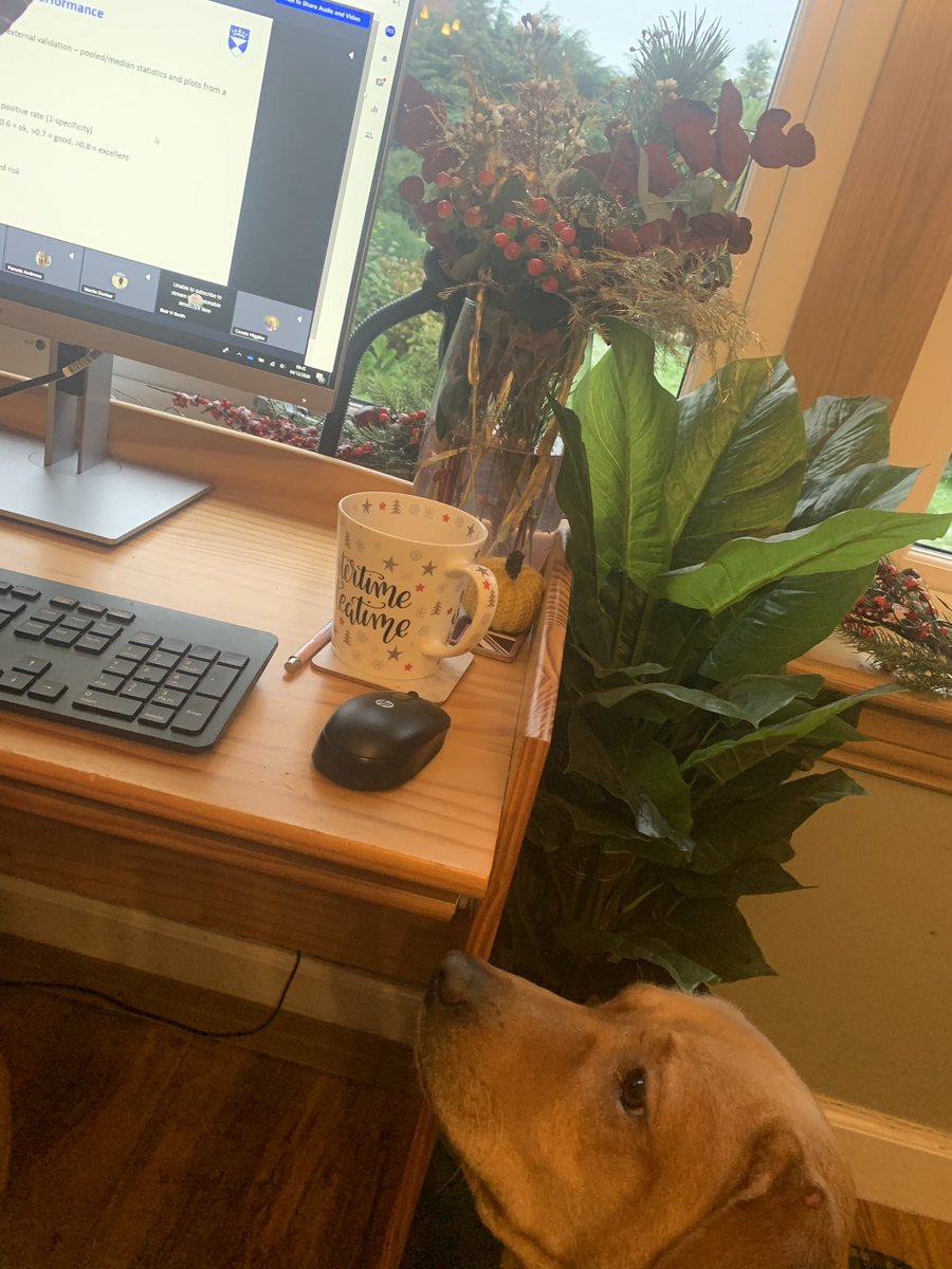 Rebecca Skinner (@rskinner_) on Twitter photo Not sure Lexie registered for @sparcgp’s conference but she is also enjoying hearing about the amazing research currently going on #academiaduringcovid #PhDog #workingfromhome #VirtualConference Not sure Lexie registered for @sparcgp’s conference but she is also enjoying hearing about the amazing research currently going on #academiaduringcovid #PhDog #workingfromhome #VirtualConference