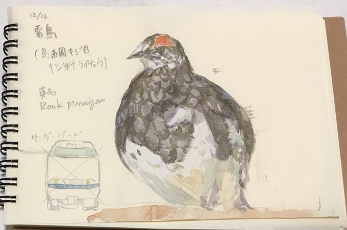 雷鳥のtwitterイラスト検索結果