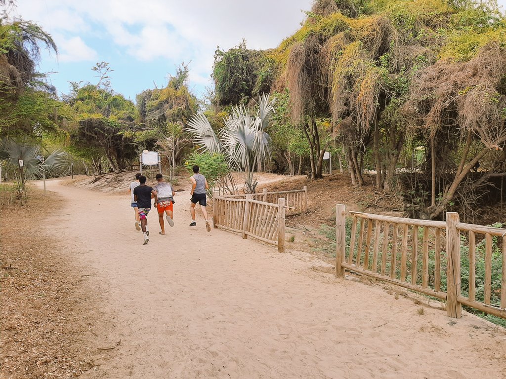 UnssOUEST's tweet image. Nos collégien.ne.s et lycéen.ne.s ont pu retrouver la joie de pratiquer des sorties multi-activités en plein air sur nos plages de l'ouest. Au programme : course d'orientation, tir à l'arc, PMT et paddle. #teamunss #unssreunion