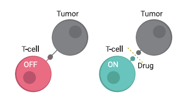 united4cancer's tweet photo. There are still barriers to overcome in Personalised Medicine. Immunotherapy has shown promising results but research is still required for it to benefit all patients. Would you like to know more about it? Check our booklet👉https://t.co/94oyl2SIaf  #PMAM20 #CrackingTheCancerCode https://t.co/I6JRkbW5hH