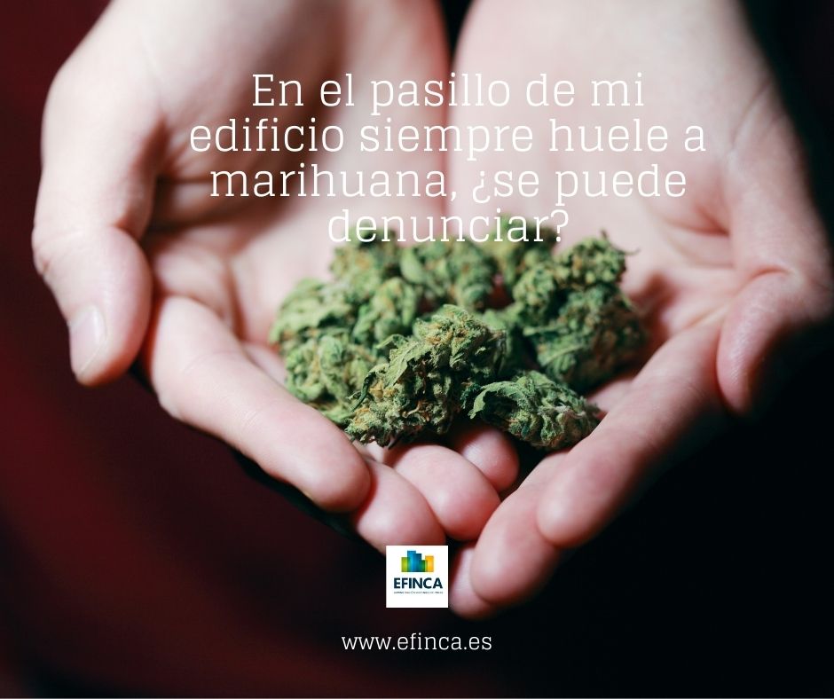 Efinca tweet media