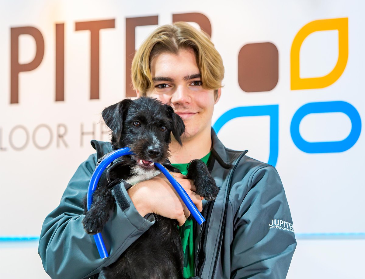 JupiterUFH's tweet image. TEAMWORK 😊 Connell the Jupiter UFH company dog loves to help with the PERT Pipes! #pertpipe #patterdale #heating #ufh #companydog