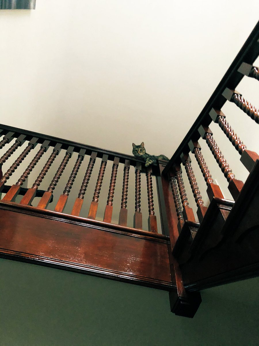 I hate it when she does this. 20 foot drop. Why sit there? Idiot.