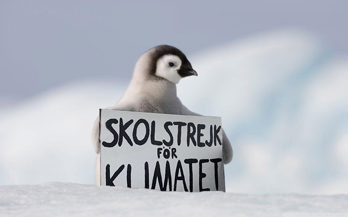Another #ClimateStrikeOnline in Antarctica. Can’t wait to see you all out on the ice sheets once this is all over (if there are any left). #FridaysForFuture #ClimateStrike