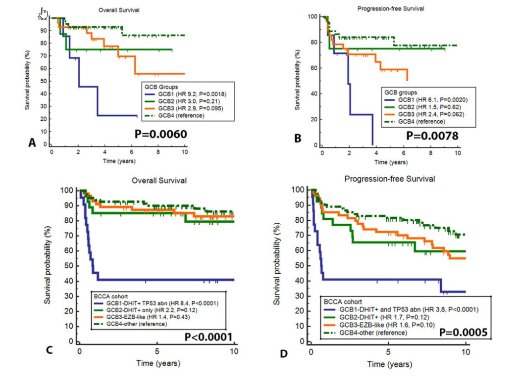 Song et al. Presence of TP53 inactivation *and* double-hit signature defines poor outcome group in de novo GCB DLBCL. Tumors negative for one or both features had good to intermediate outcomes.   #ASH20  #lymsm  #lymphoma  https://ash.confex.com/ash/2020/webprogram/Paper137258.html 5/7