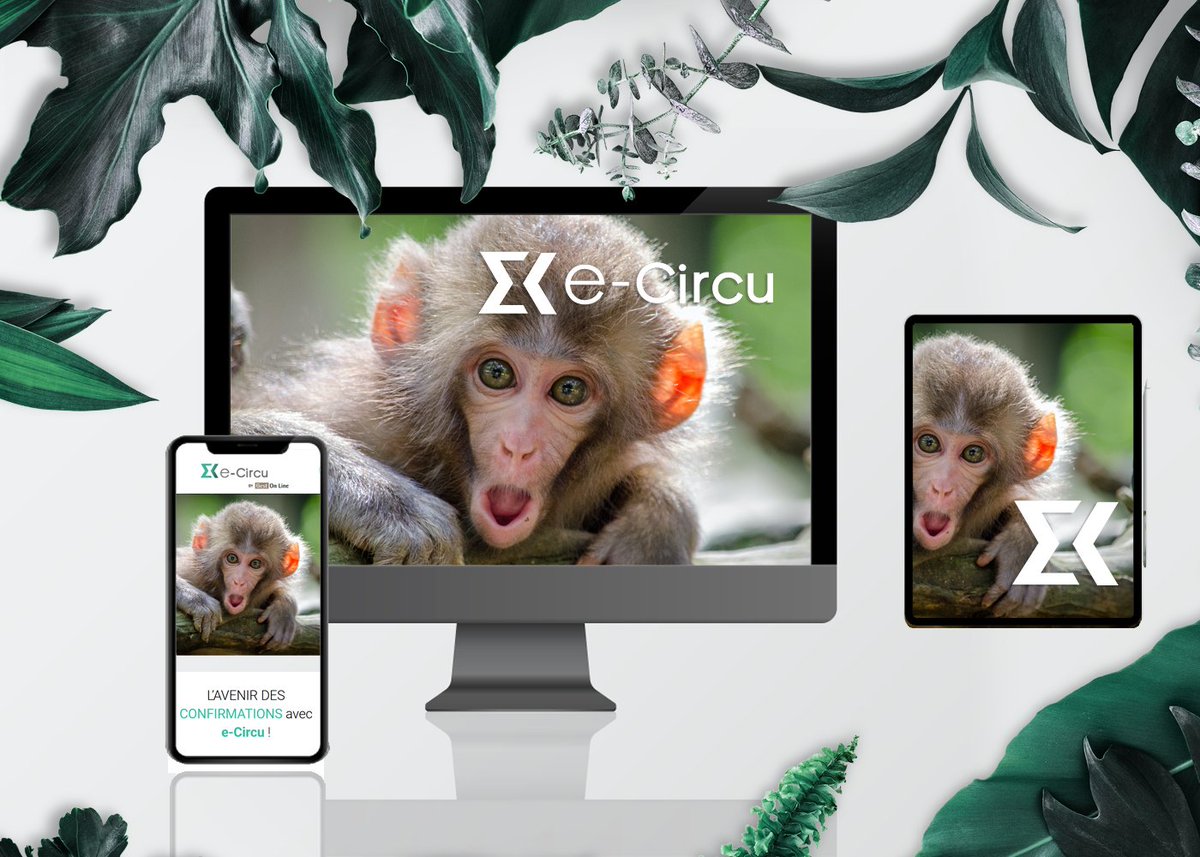 Découvrez l’avenir des confirmations avec e-Circu !
🚀 Gagnez du temps avec des envois et relances automatiques
🚀 Améliorez votre taux de réponse grâce aux emails personnalisables
🚀 Renforcez l’image digitale du cabinet avec une approche moderne 
👉 e-circu.com