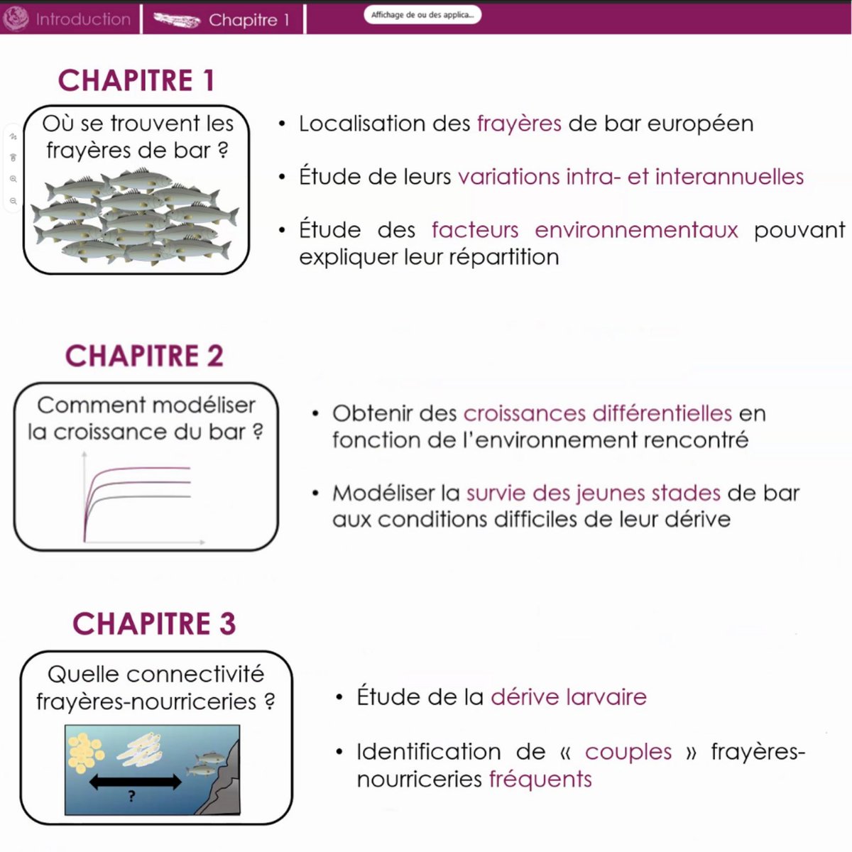 PyHernvann's tweet photo. Brilliant ✨ #PhDdefence by the new Dr. @chloe_dambrine who studied critical habitats of European #seabass 🐟 at multiple life stages using multiple tools
STH unit @Ifremer_fr
@Doc_BZH_Loire
@martin_huret https://t.co/qCJvdlzgnM
