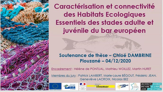 PyHernvann's tweet photo. Brilliant ✨ #PhDdefence by the new Dr. @chloe_dambrine who studied critical habitats of European #seabass 🐟 at multiple life stages using multiple tools
STH unit @Ifremer_fr
@Doc_BZH_Loire
@martin_huret https://t.co/qCJvdlzgnM