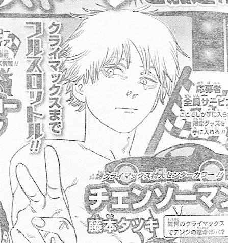 Scan - Chainsaw Man 13