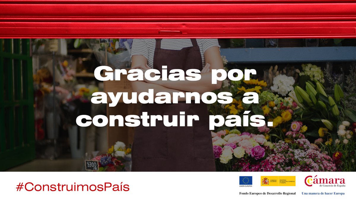 Cámara de España tweet media