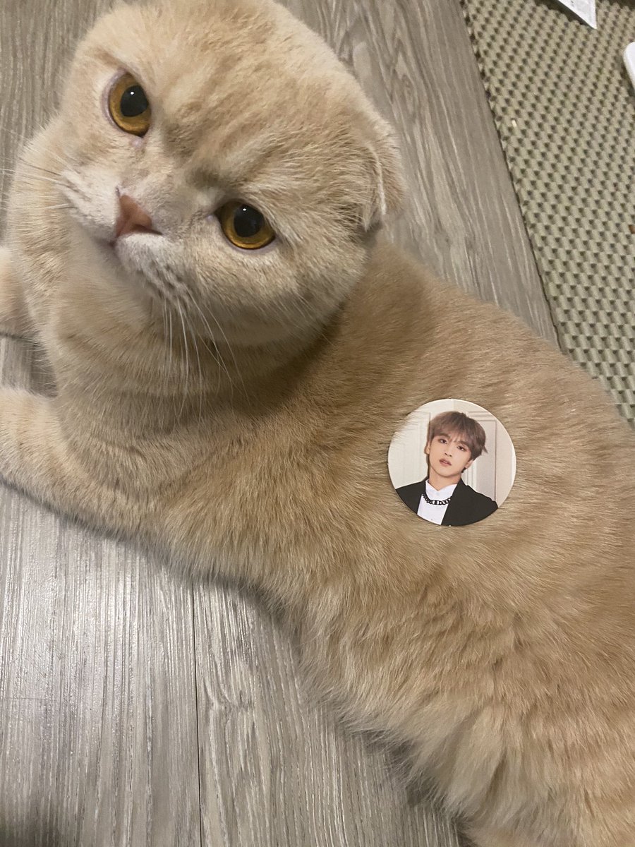 พรมรีวิวการ์ด 👍🏻