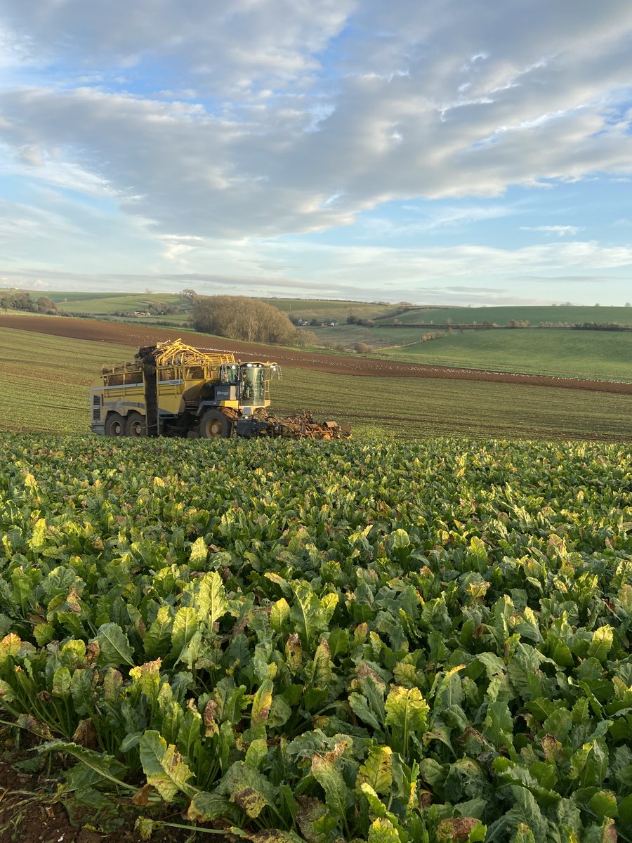 Thank you to <a href="/CWrightandsons/">Charles Wright & Son</a> for your wonderful picture of harvesting in the Lincolnshire Wolds, which will feature on our digital Christmas card this year!