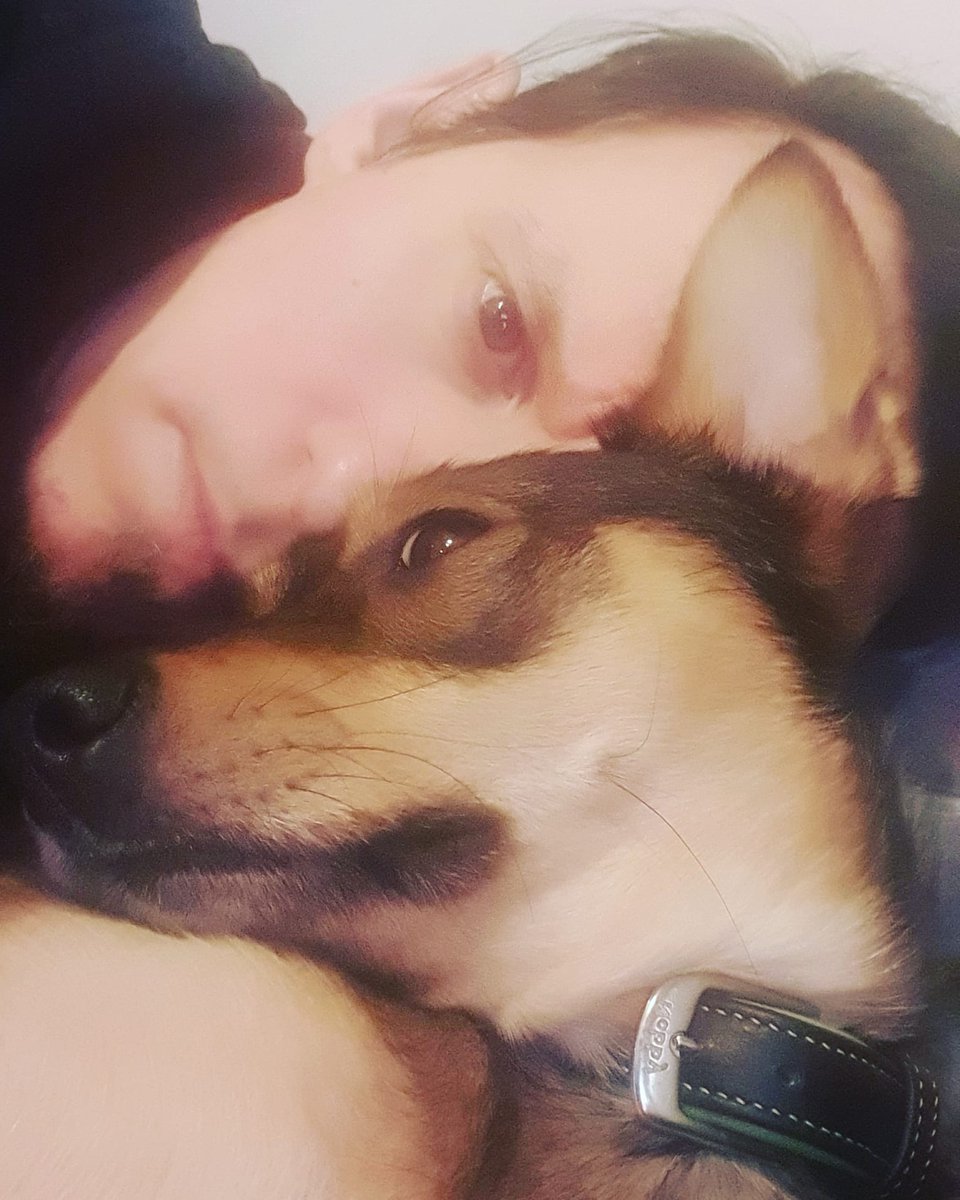 Jake_E_Official's tweet image. #Fridaymode #chirikeelyn #dogrescue