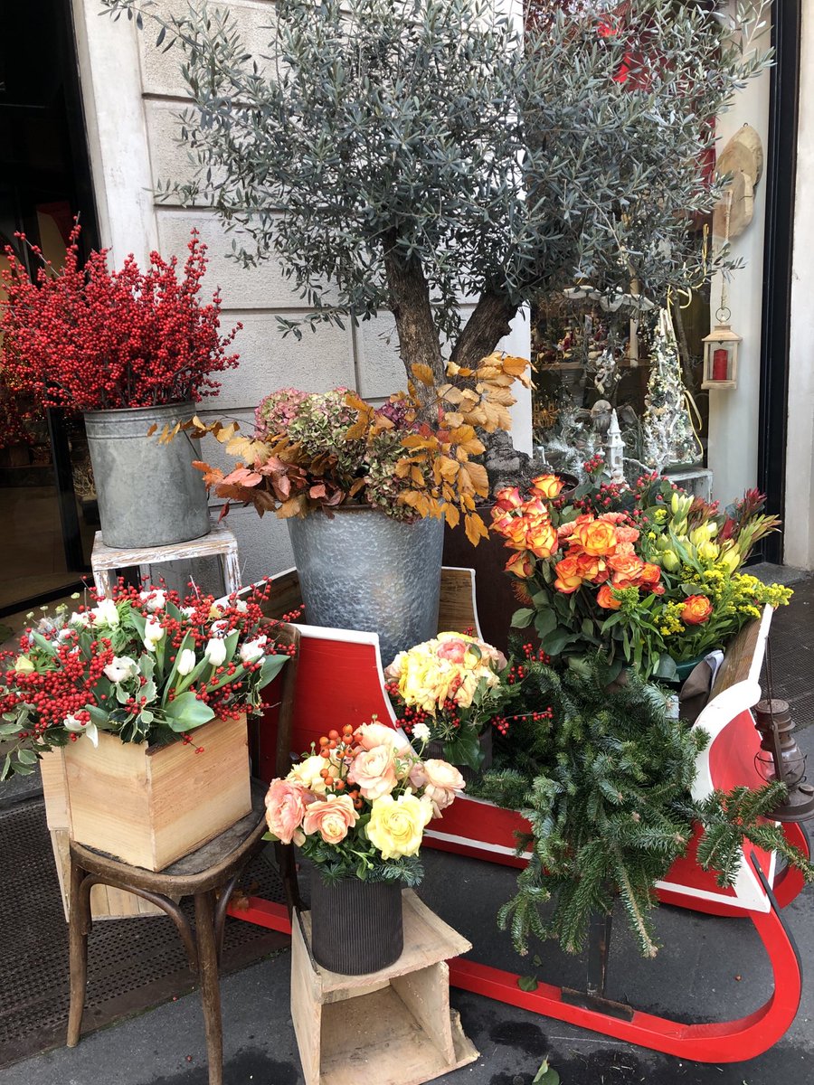 MilanGreeters's tweet photo. Flower decorations ! #milano #milan #milanocity #milanotoday #milanobestphoto #flowers #flowerstagram #flowerdesign #interiordecor #internationalgreeterassociation #travel #travelphotography #freewalkingtour #december #visitmilano #europetravel #lonelyplanet #frommers https://t.co/yFTF7YoNNx