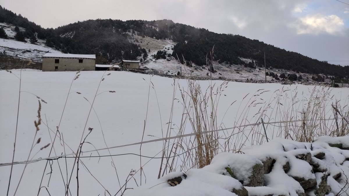 nwpowderdays's tweet image. #powderalert
Nevada guapa aquesta tarda a Bordes 💪🤩🙌❄️ Anem sumant cms!