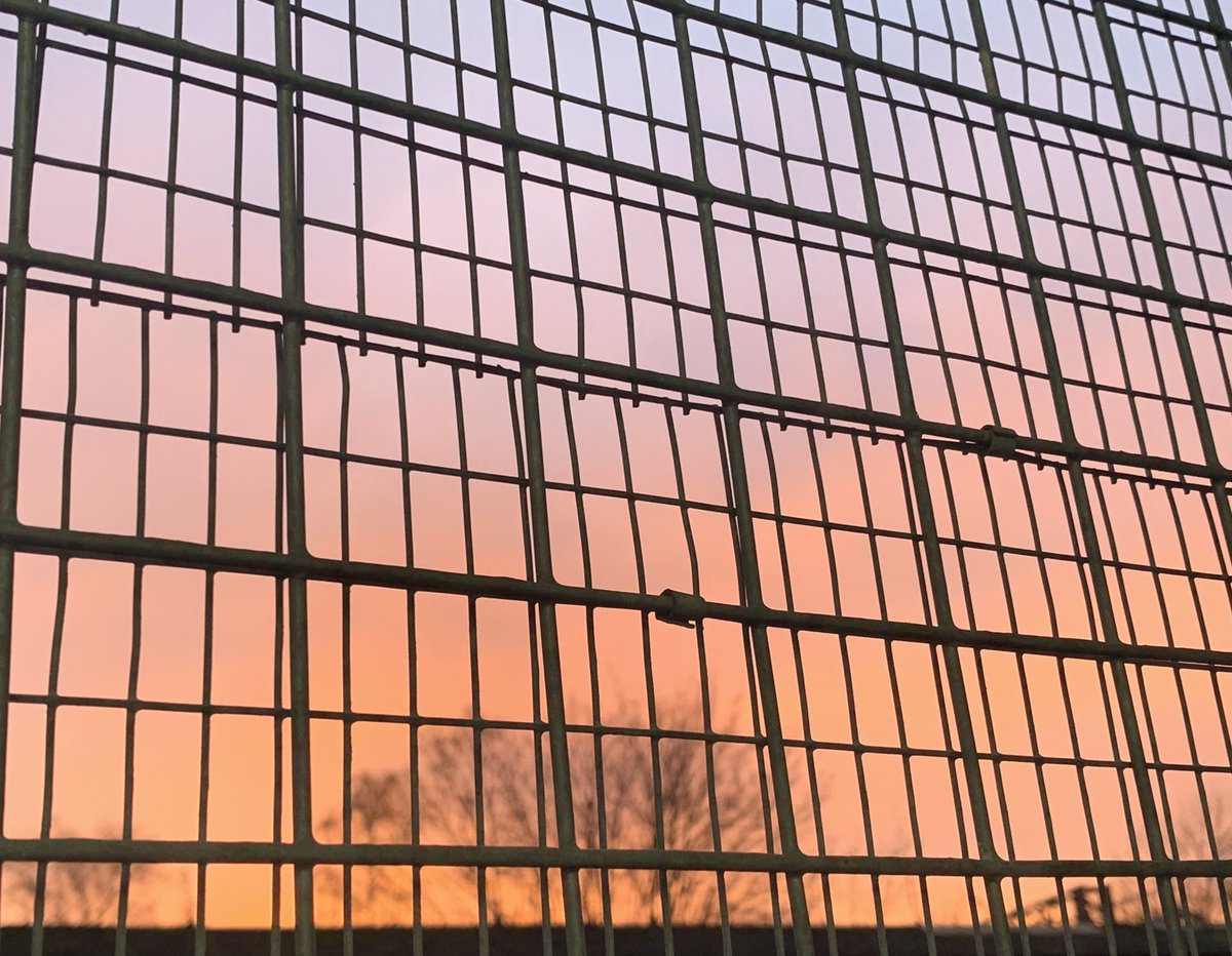 「いま、ロンドンの夕焼けめっちゃキレイなんだけど、うちのスタジオの窓には鉄柵がある」|𝖸𝗈 𝖮𝗄𝖺𝖽𝖺のイラスト