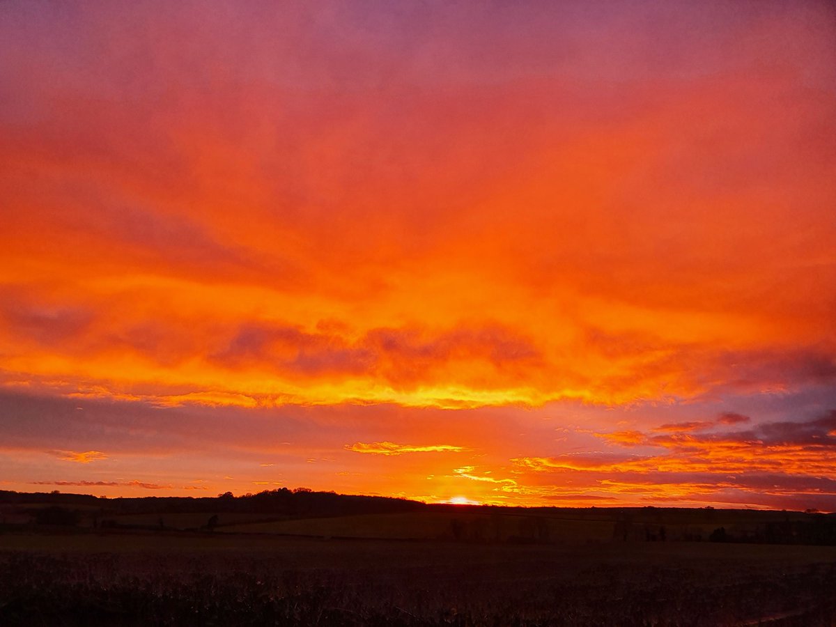 ianthemoleman1's tweet image. Nice end to the week.
#pestcontrol #vermincontrol #molecatcher