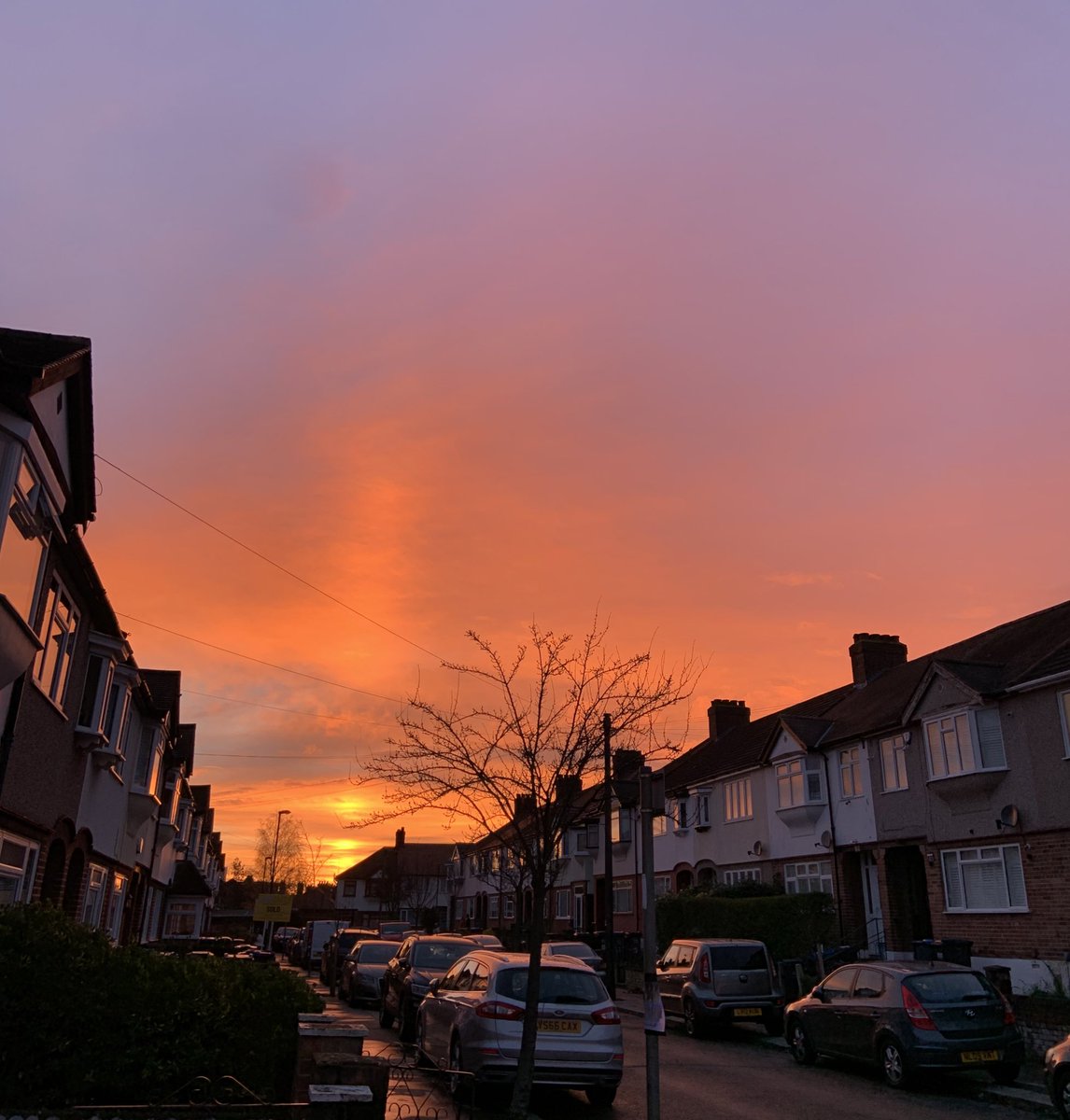 Tom Thorogood tweet media