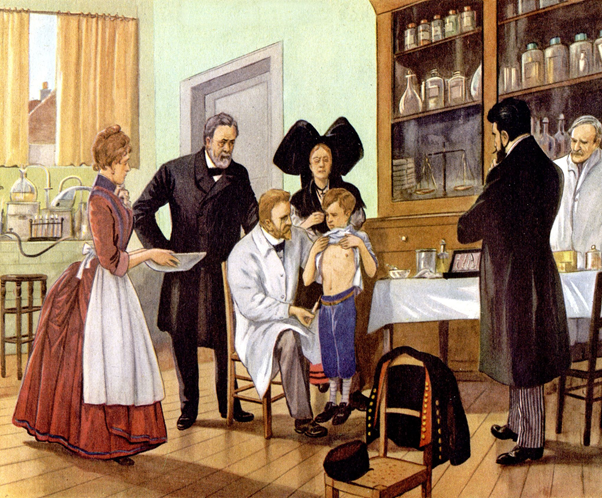 18/ Travaillant sur la maladie du charbon chez le mouton, il met au point le vaccin en 1881. Il s’attaque aussi à la rage. En 1885, il vaccine avec succès le jeune Joseph Meister. Pasteur devient célèbre mondialement.