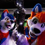 Photo by Botherdogs (@bthrdgs)