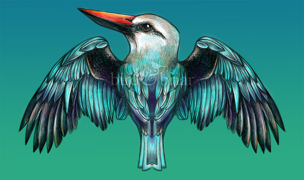 I never really liked this one, but here's a kingfisher-ish(?) bird for this week's #colour_collective 

Remember to be kind to yourself; everything doesn't have to be perfect <3