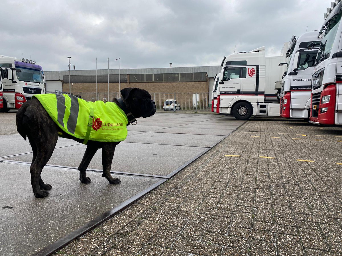 Lupprians's tweet photo. Knowing your shipment is safe in the capable hands of our 
@Lupprians staff will put your mind at ease. 

We care, our people care, Suka cares, we understand your products, care about them, and so you will notice!  

https://t.co/FlE41R6va6 / orderdesk@lupprians.nl / +31294458121 https://t.co/zPiAWn31vw