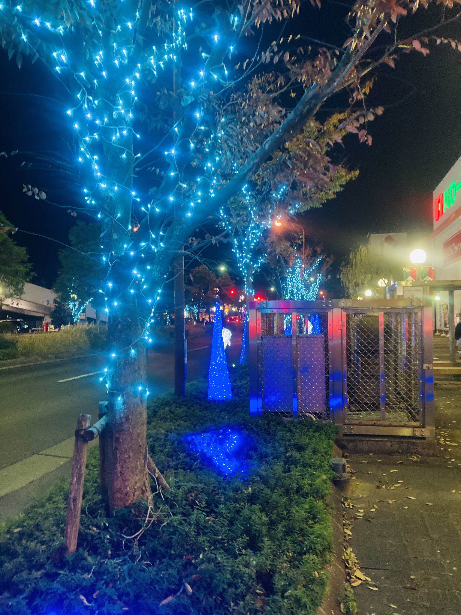 高松レインボーロード Twitter Search Twitter