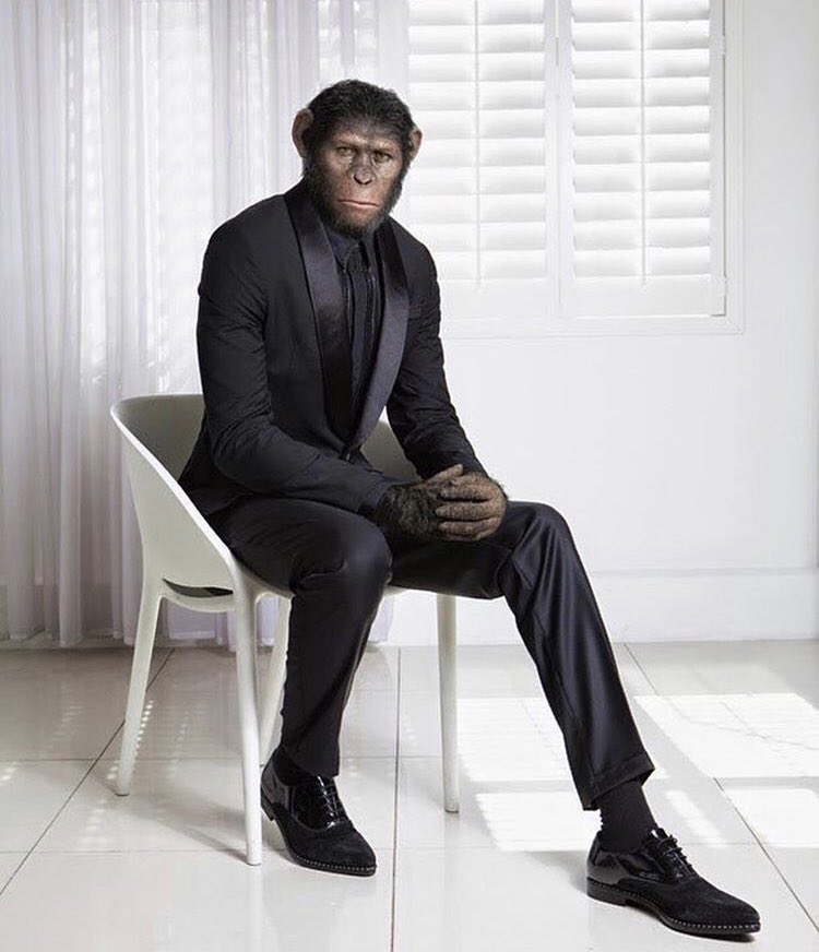 subudd's tweet image. 