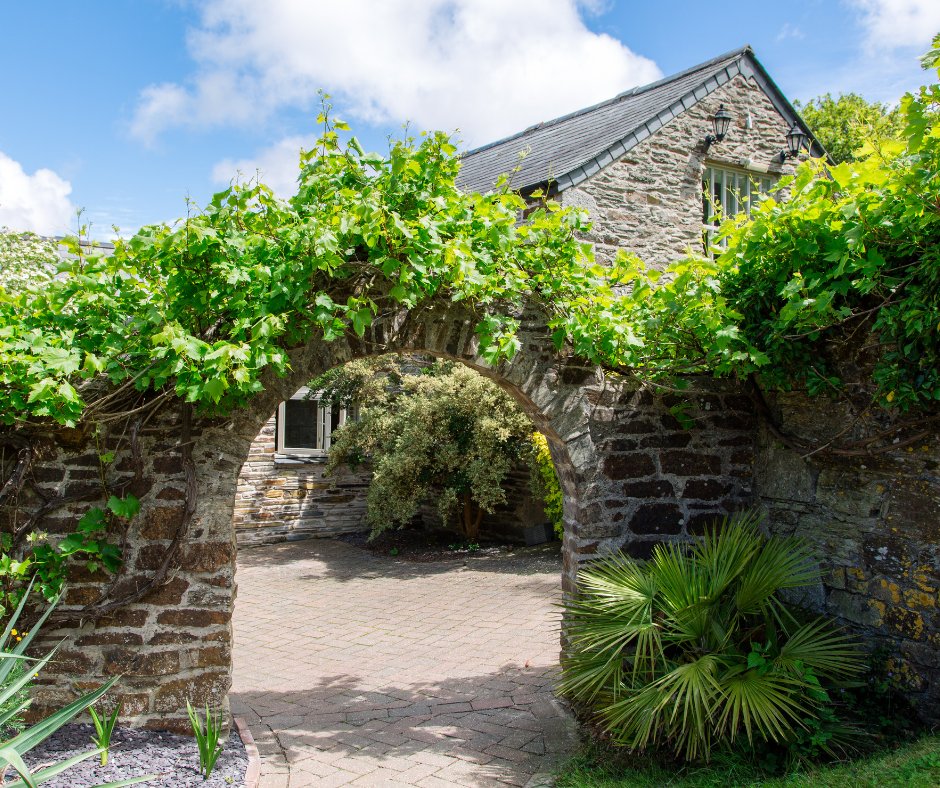 Throwback to Summer vines... there's a frost in the air today and the beautiful vines have slipped into their winter dormancy. 

#vines #summervines #winter #pub #diningpub #food #foodie #wine #homecookedfood #freshlypreparred #locallysourced #localproduce #cornwall #plume