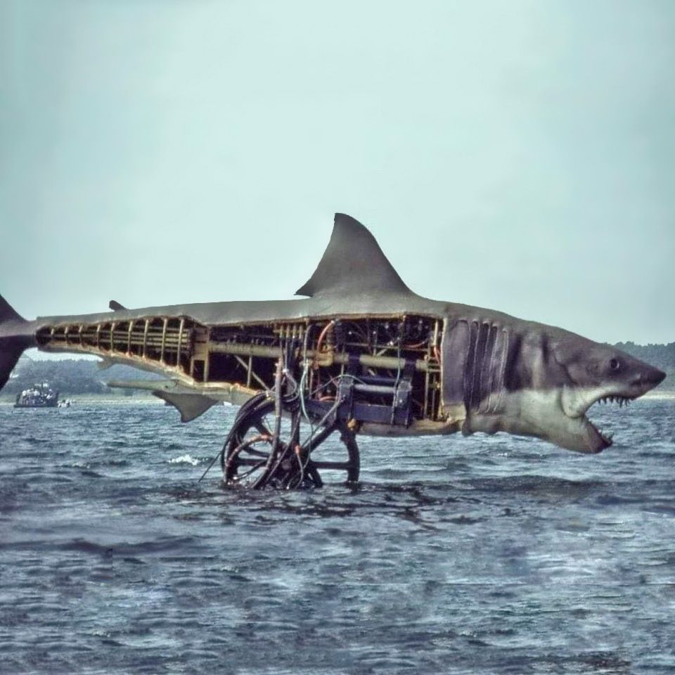 1975: The mechanical shark from “Jaws” _ For more pictures like this, follow @retronauthome @retronauthq