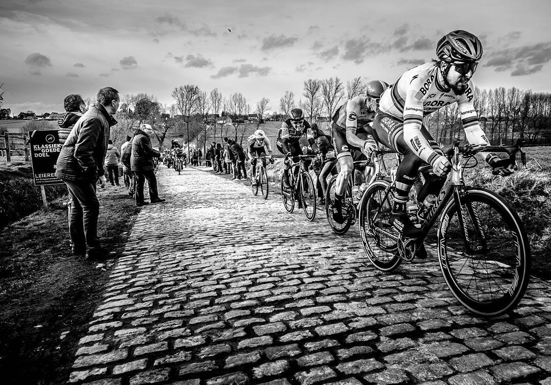 Peter SagFan tweet media