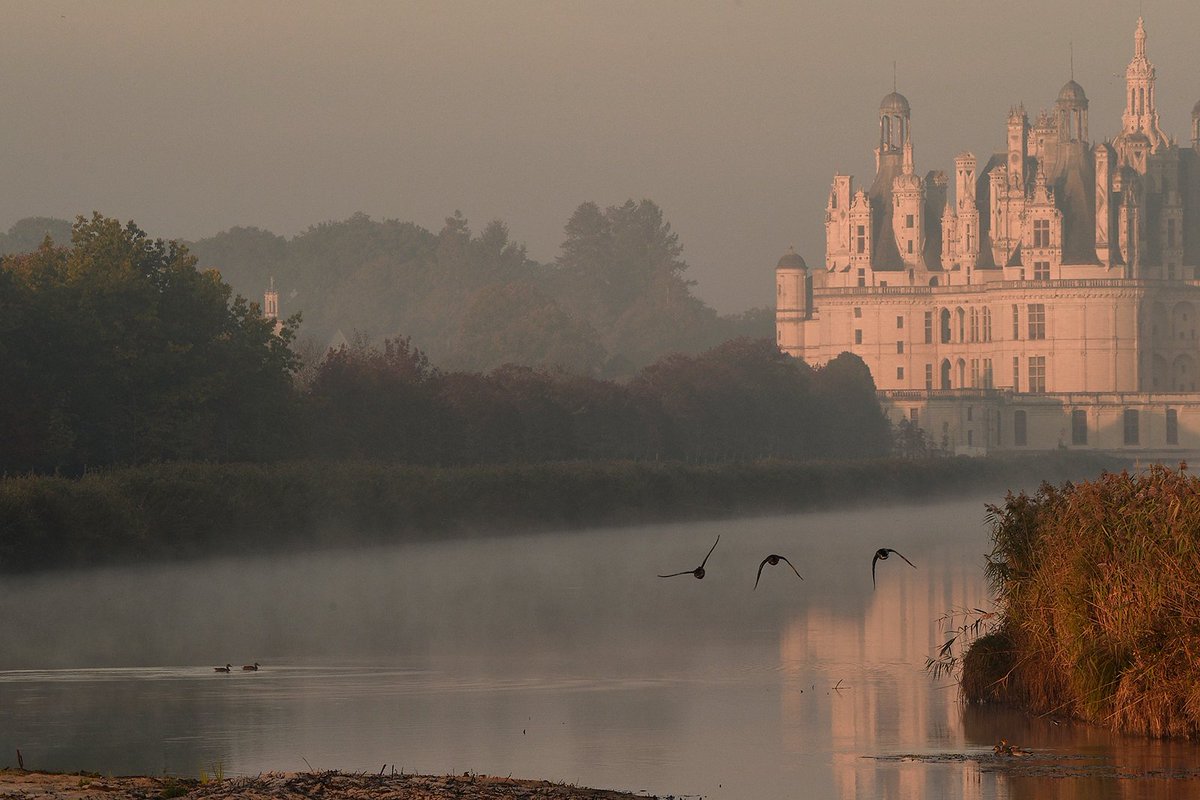 Nous souhaitions de tout cœur passer cette fin d‘année avec vous. Mais les dernières annonces gouvernementales nous contraignent à prolonger la fermeture du #RelaisDeChambord. 
Nous aurons plaisir à vous retrouver à partir du 20 janvier.

📷 Jean-Michel-Turpin