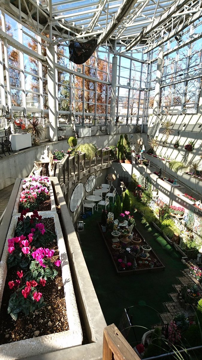 Shin サカタのタネ本社のグリーンプラザ 横浜市都筑区 きれいな花と大量のオーナメントで メルヘンの世界に迷いこんだよう 現在は入場制限があります Shin サカタのタネ本社のグリーンプラザ 横浜市都筑区 きれいな花と大量のオーナメントで メルヘンの世界に迷いこんだよう 現在は入場制限があります