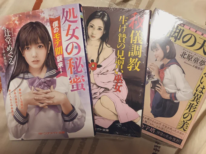文学が読みたくなったので面白そうな官能小説を買いました 