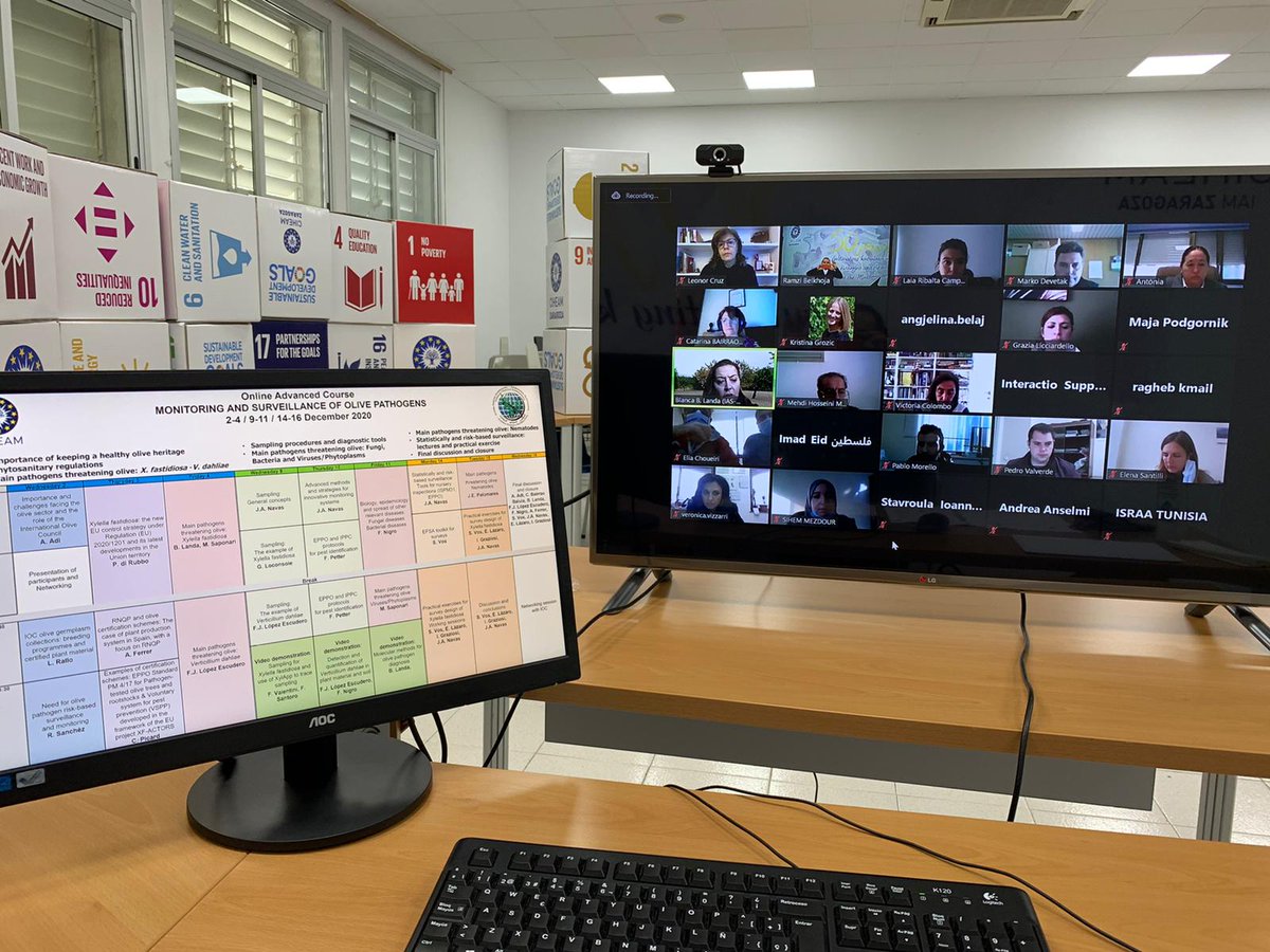 CIHEAMZaragoza's tweet photo. Yesterday we had a very interesting online session with Pasquale di Rubbio from @EU_Commission DG SANTE, Amparo Ferrer from @generalitat and Camille Picard from @EPPOnews #monitoring #surveillance #olive #pathogens https://t.co/7yHS5SwPRC