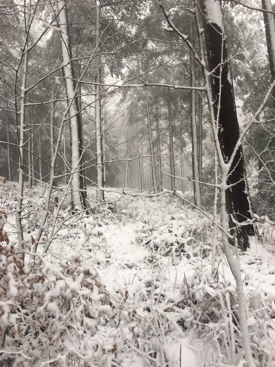 No golf today <a href="/Justin_Rourke/">Justin Rourke</a> but I think I might need my sledge to get back down the hill! ❄️⛄️#slidey