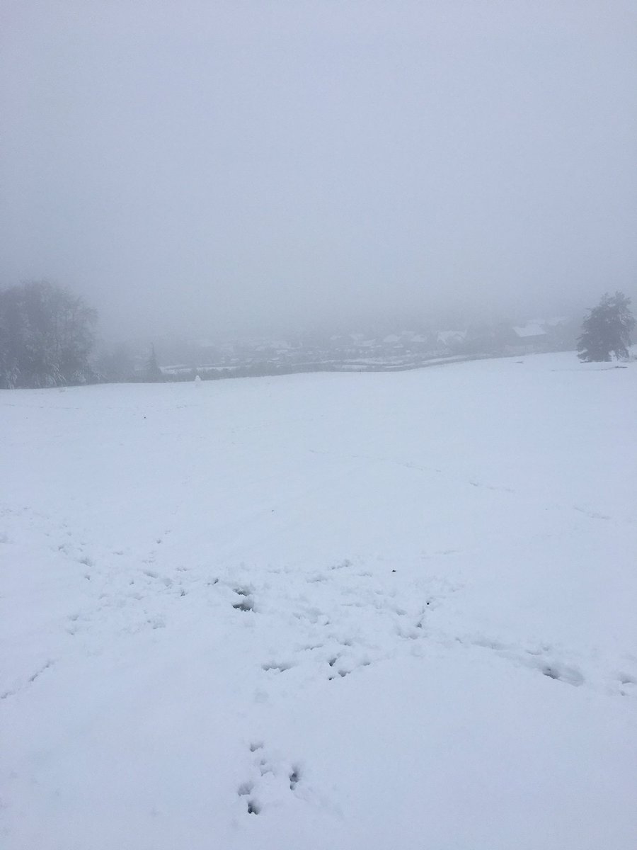 RourkeRosy's tweet photo. No golf today @Justin_Rourke but I think I might need my sledge to get back down the hill! ❄️⛄️#slidey https://t.co/LWe6MQmqA7