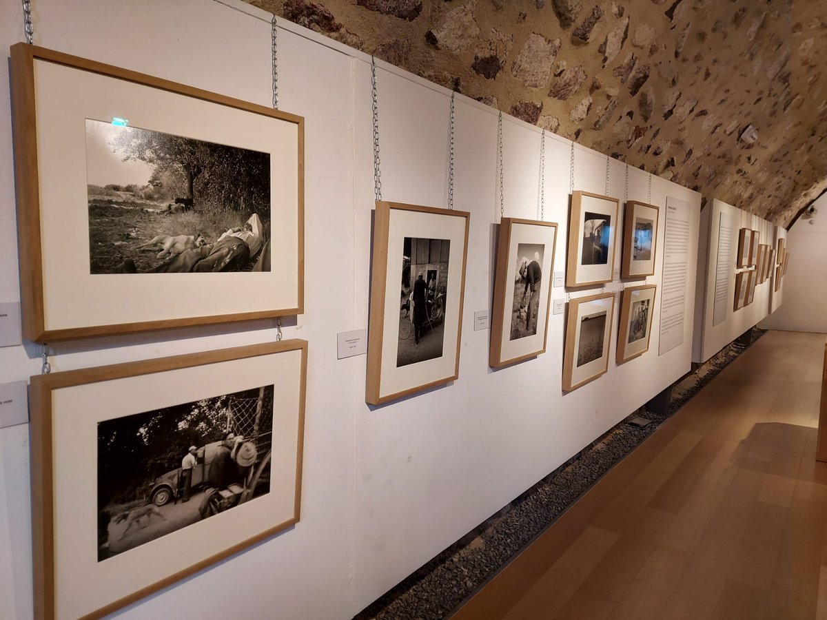 ILCyL's tweet photo. Inauguración de la expo 'Cazando imágenes con Delibes' en El Episcopio de #Ávila con @jesusmanuelsc82 (alcalde @Ayto_Avila), Ángel Sánchez (concejal de Cultura) @fzamacola (Dir. @MiguelFundacion), Germán Delibes (hijo de Miguel Delibes) y Gonzalo Santonja (Dir. @ILCyL) #CyL https://t.co/xpmpWDJZ1l