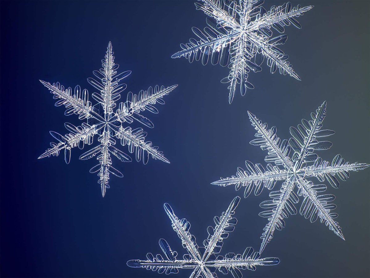 virginiagarnie's tweet photo. Fotografía de ultra alta resolución revela microscópicos detalles de los cristales de nieve https://t.co/WNVEOqDudx #design #arte a través de @oldskull @nathanmyhrvold #NathanMyhrvold #foto #fotografia #ultraresolucion #microfoto #copodenieve #ciencia https://t.co/9iSULcM6EQ