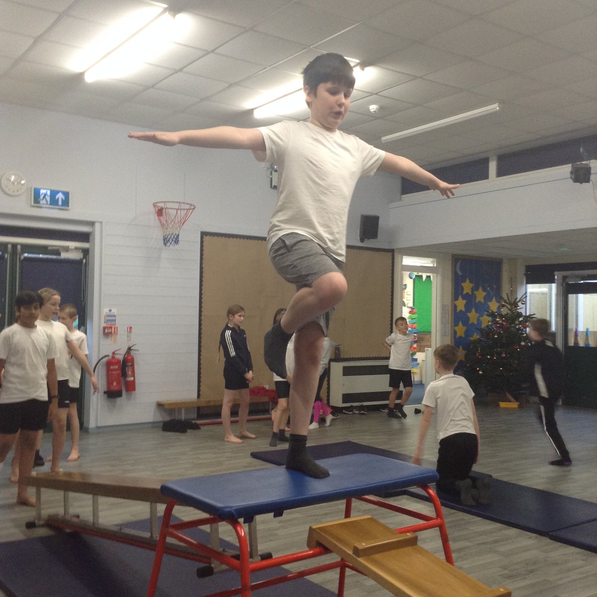 Wynndale Y5 tweet media