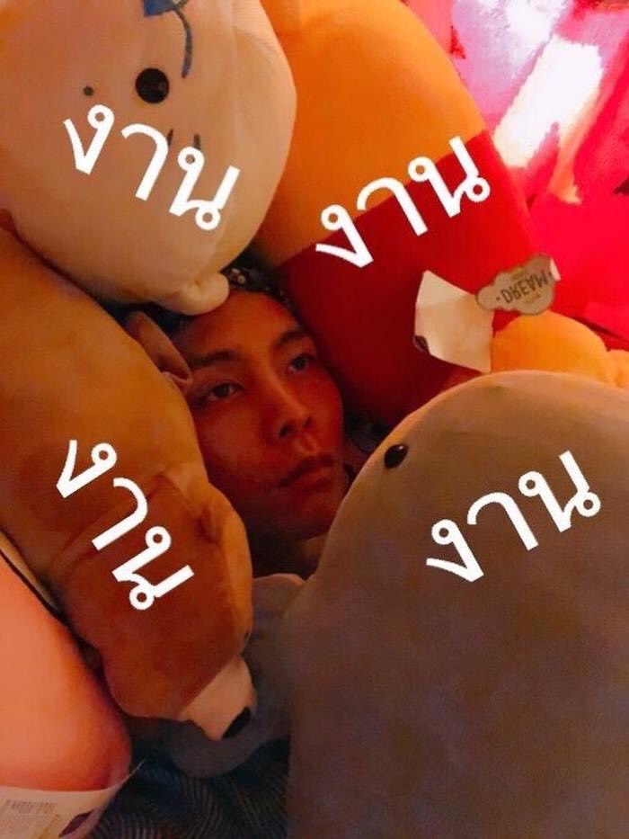 you__023's tweet photo. สภาพผมหลังเปิดเทอมได้อาทิตย์เดียว https://t.co/CDa5LrK8NB