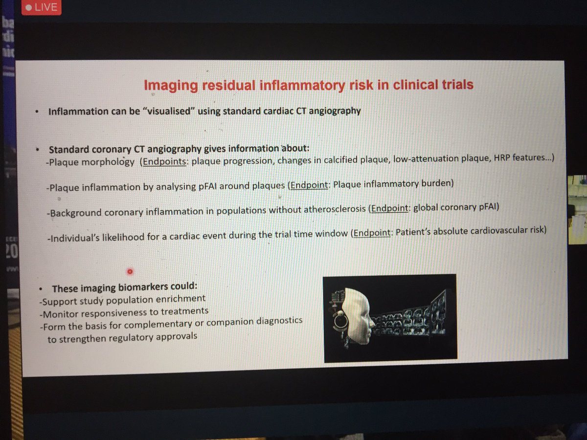 - FAI is increased in inflammatory diseases such as psoriasis- Statins improve FAI- FAI restratifies individuals without high-risk plaque features