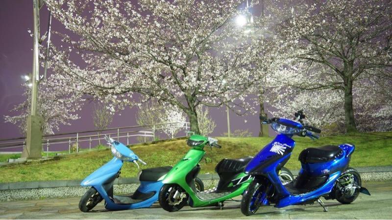 黒猫STYLE (@kuronekostyle) / Posts / X