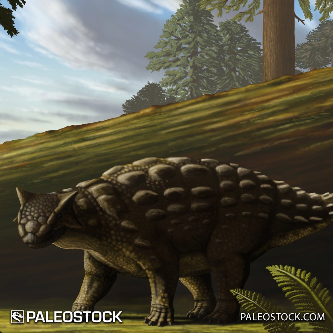 Twoucan Ankylosaurus の注目ツイート イラスト マンガ コスプレ モデル Twoucan Ankylosaurus の注目ツイート イラスト マンガ コスプレ モデル