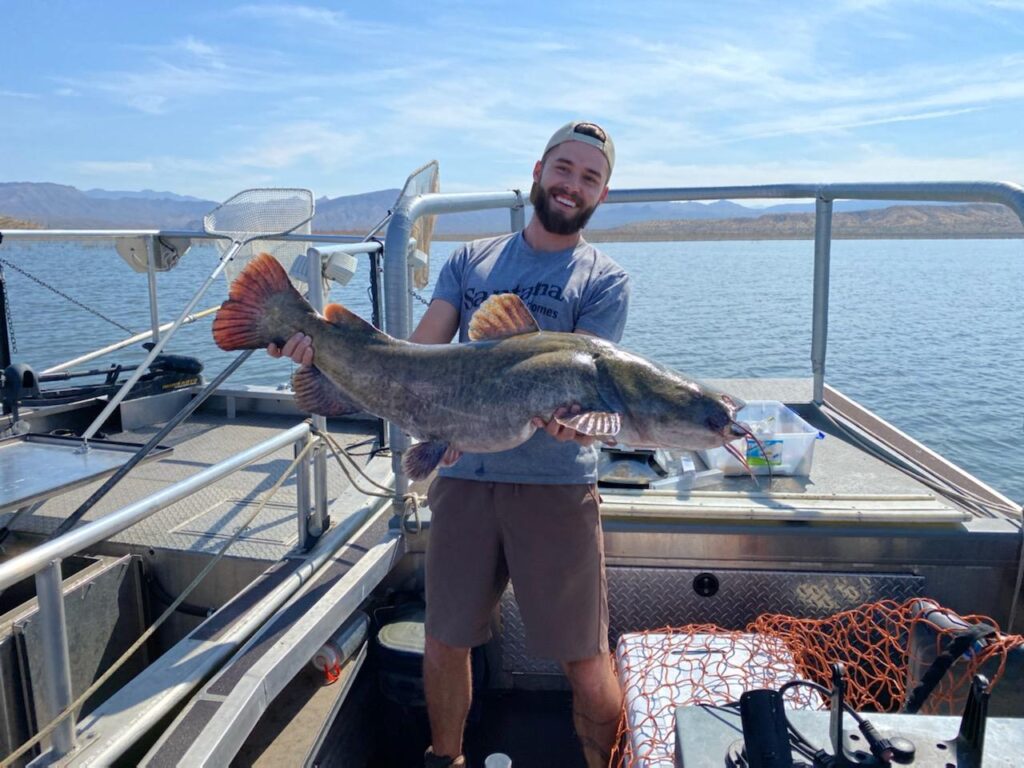 GoFishAZ's tweet image. Check out the latest Black Crappie and Flathead Catfish Survey Results from October at Roosevelt Lake - fishaz.azgfd.com/fisheries-mana…