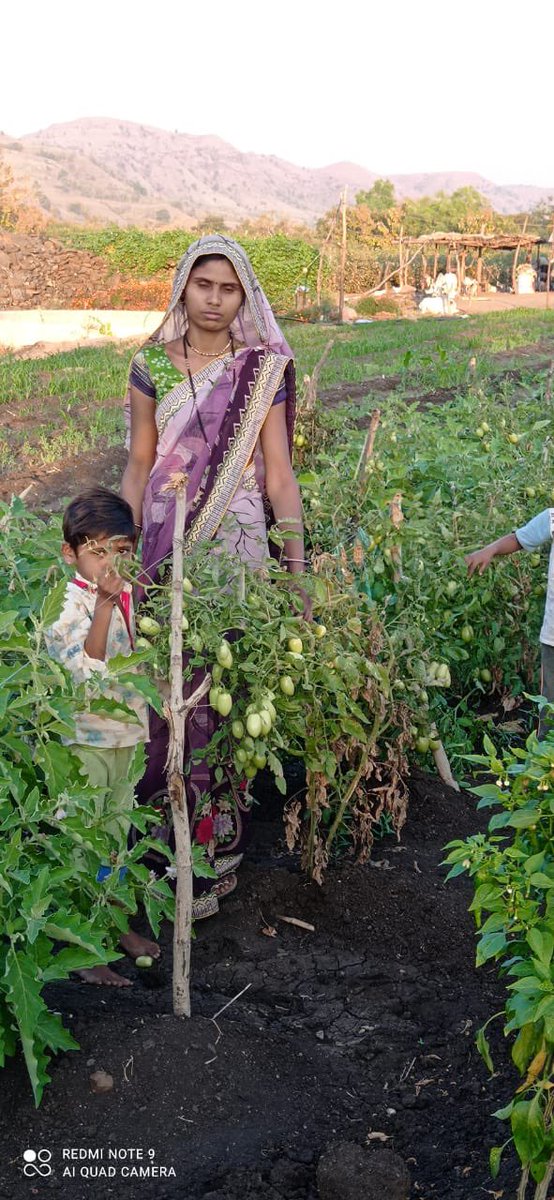 Nutri garden <a href="/Anganwadi/">malkit singh</a> at Satipani, Shahana 2 in Shahada block of Nandurbar district