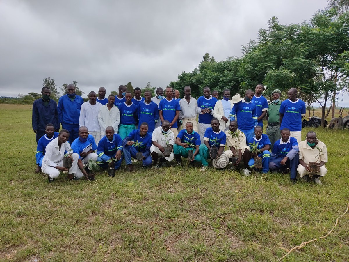 TelOneZW's tweet photo. We are excited to be in Marondera today on our tree planting drive as we commemorate National Tree Planting day! TelOne donated 1000 fruit trees to Marondera prison for an orchard establishment for inmates self-sufficiency. #PlantATree #TelOneInTheCommunity https://t.co/Sulzxa3akh