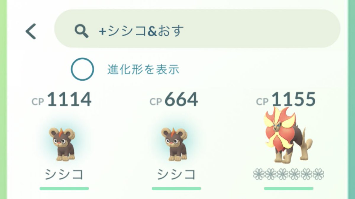 シシコ シシコ